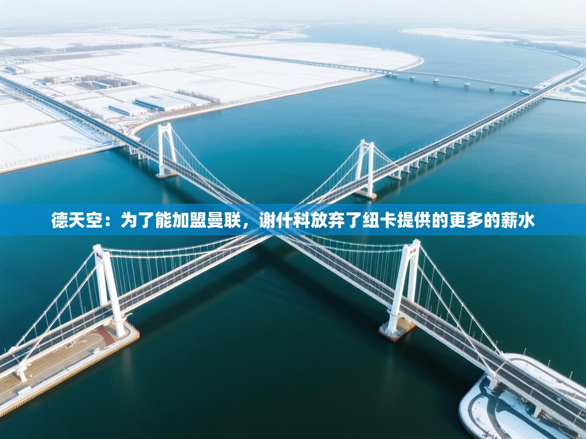 德天空:为了能加盟曼联,谢什科放弃了纽卡提供的更多的薪水 第1张