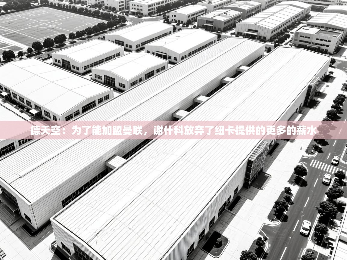 德天空:为了能加盟曼联,谢什科放弃了纽卡提供的更多的薪水 第2张