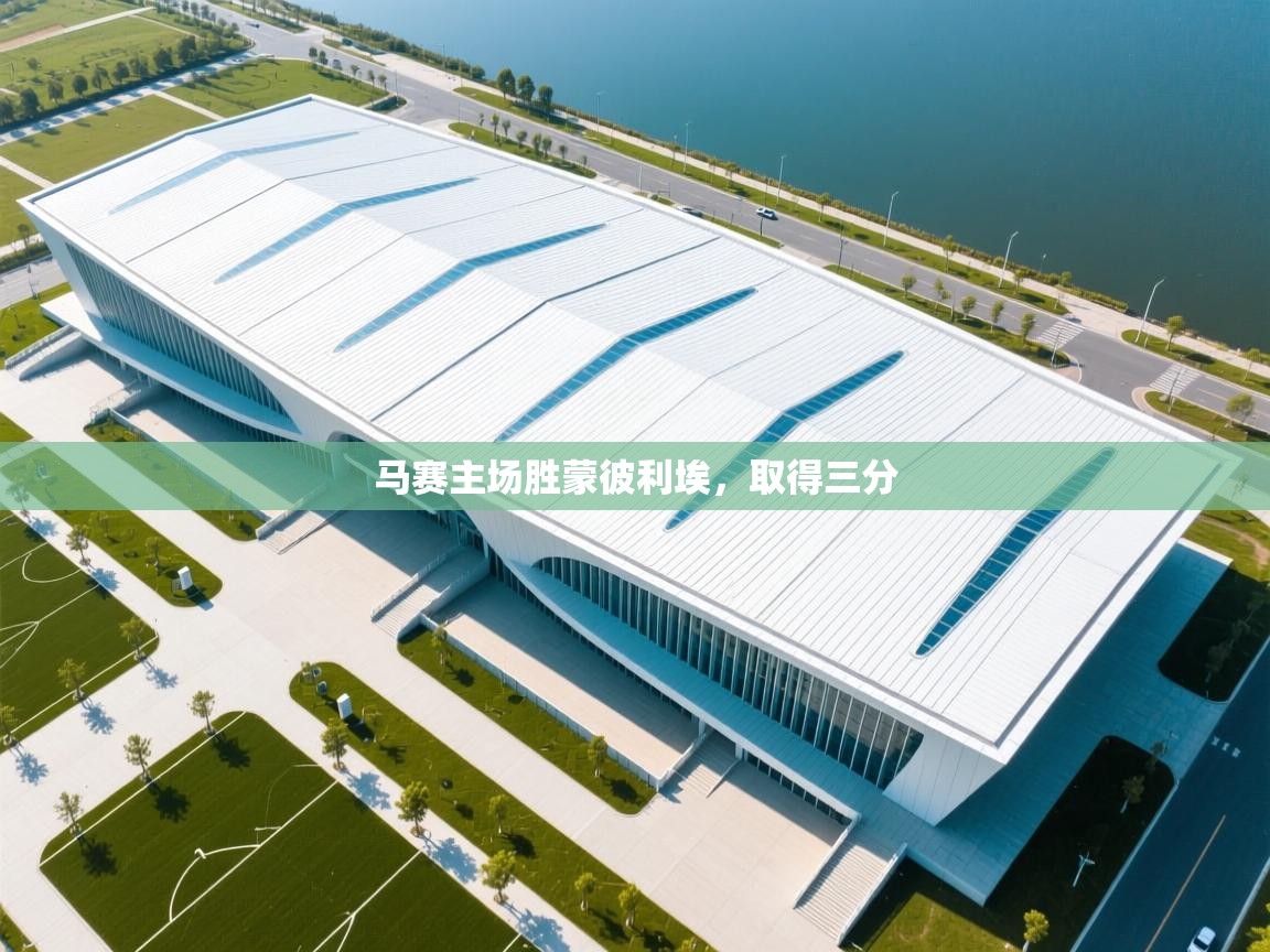 马赛主场胜蒙彼利埃，取得三分  第1张