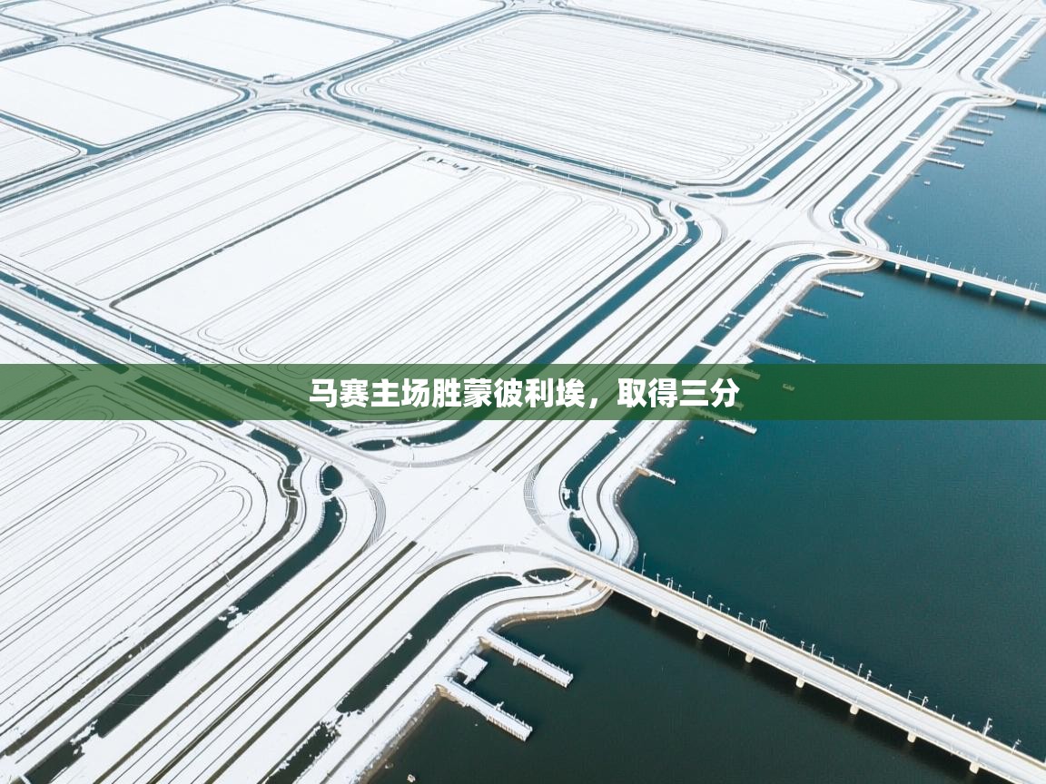 马赛主场胜蒙彼利埃，取得三分  第2张