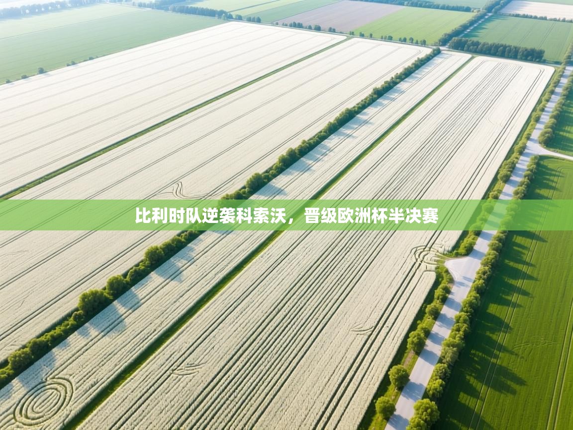 比利时队逆袭科索沃,晋级欧洲杯半决赛 第2张